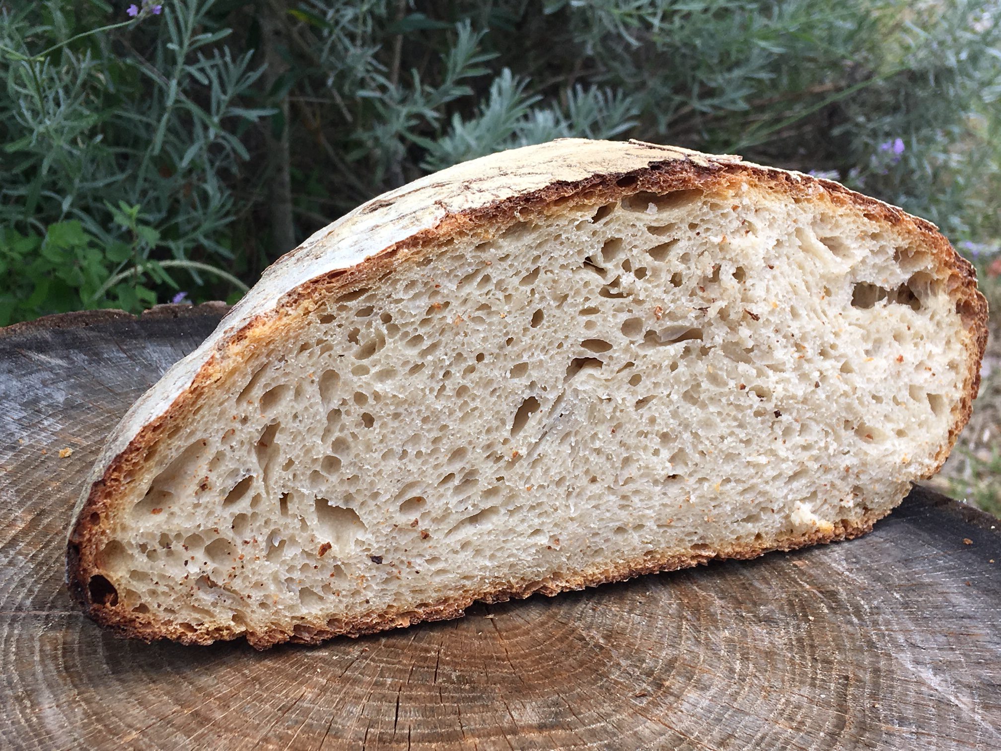 Farine et levain, chacun son pain ! - Priméal