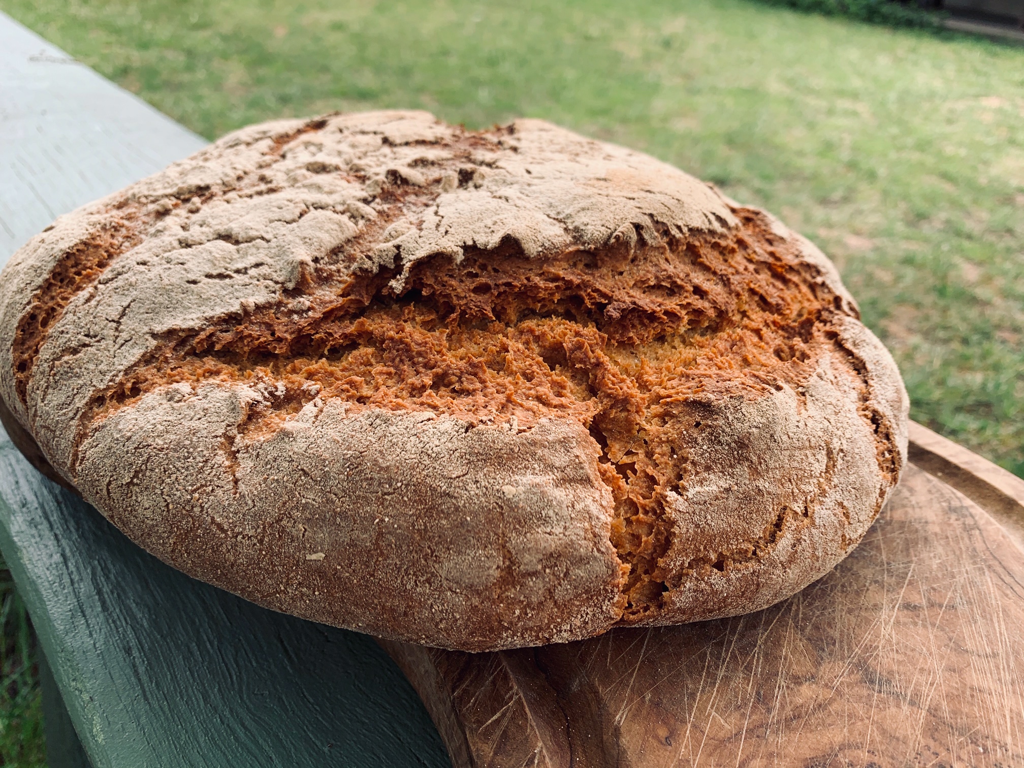 Pain au levain petit épeautre T110